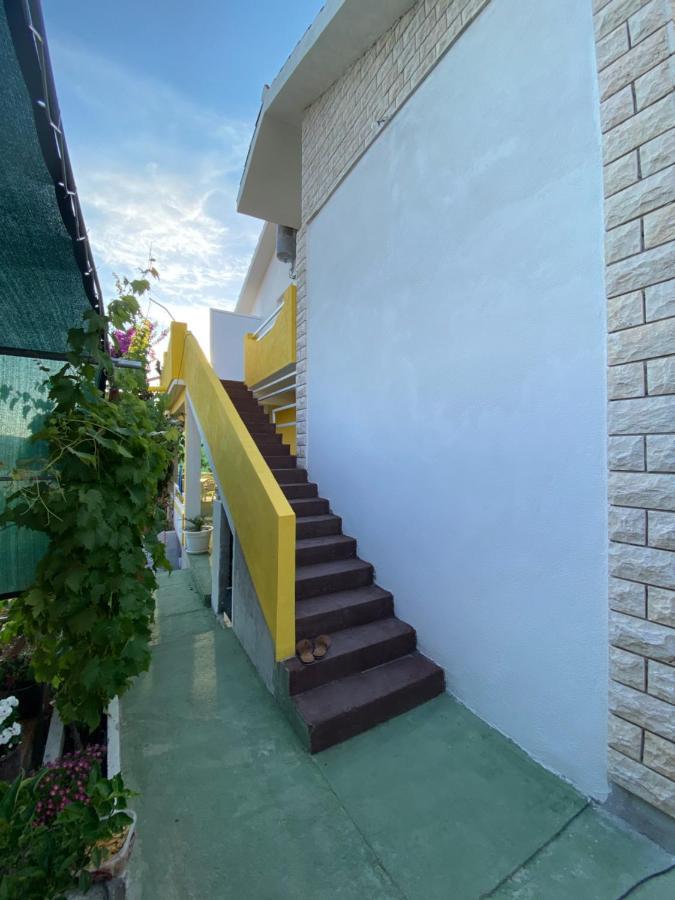 Apartment Elena Donji Okrug  Exterior foto